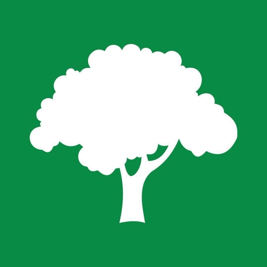 White tree emblem on green